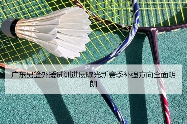 广东男篮外援试训进展曝光新赛季补强方向全面明朗